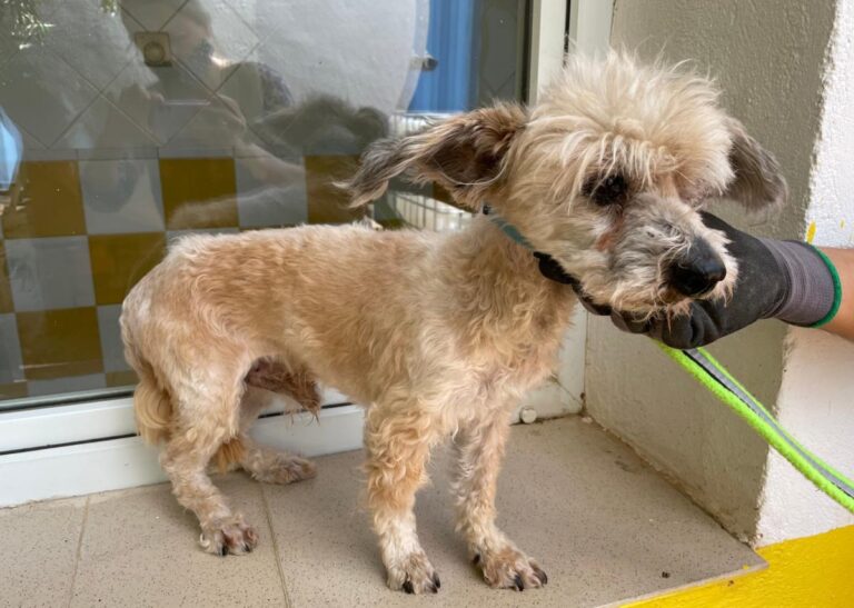 multimedia-foto71636-911-1