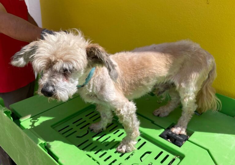 multimedia-foto71638-911-1