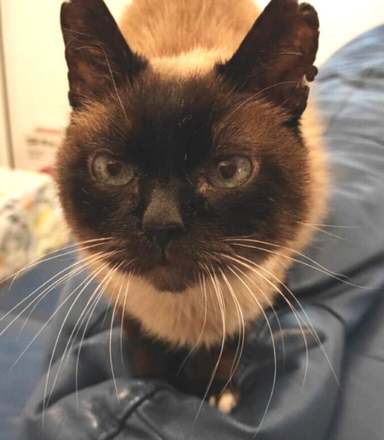 multimedia-foto71643-676-1