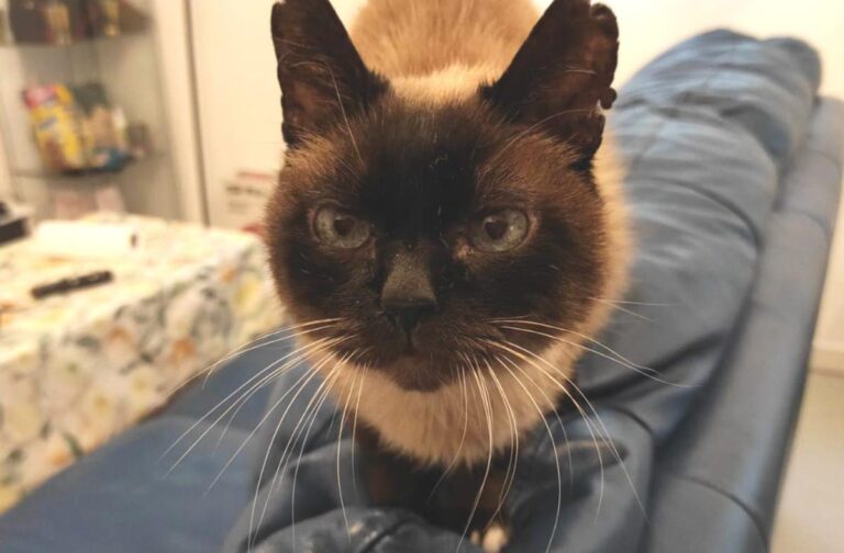 multimedia-foto71644-677-1