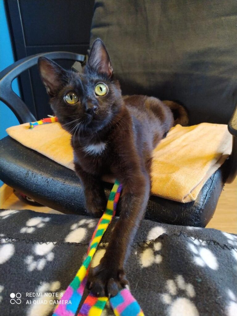 multimedia-foto71686-835-1