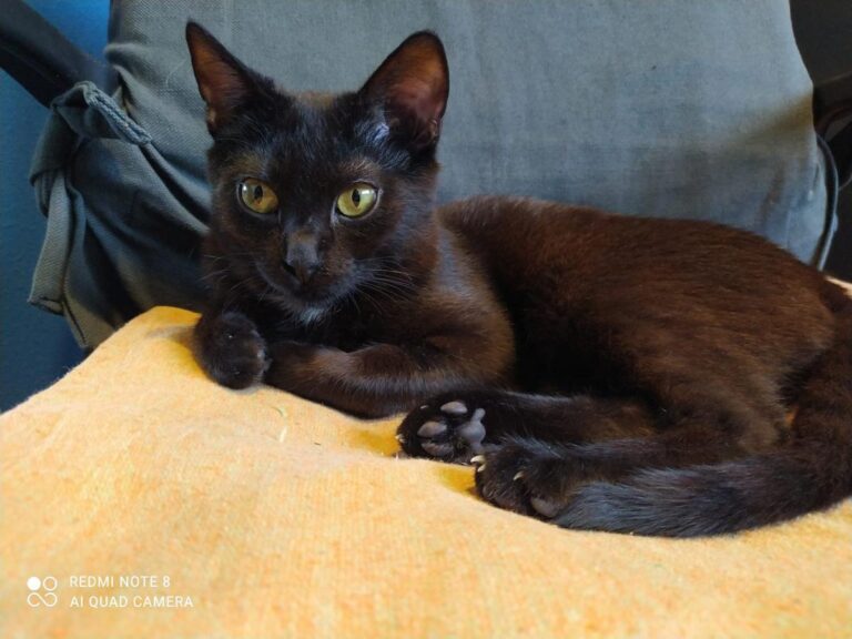 multimedia-foto71687-836-1