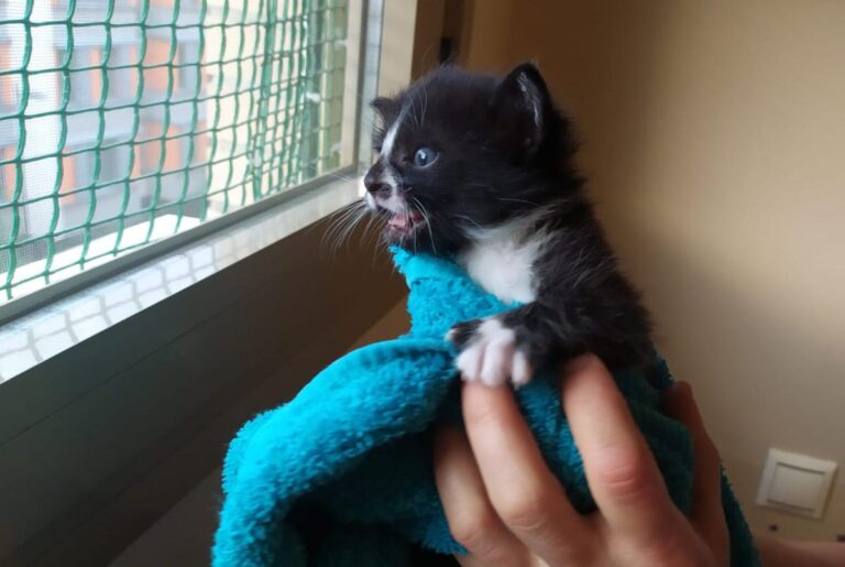 multimedia-foto71689-169-1