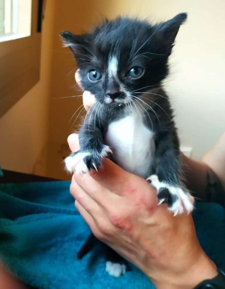 multimedia-foto71690-169-1