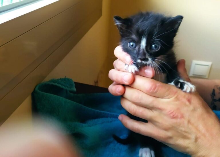 multimedia-foto71691-169-1