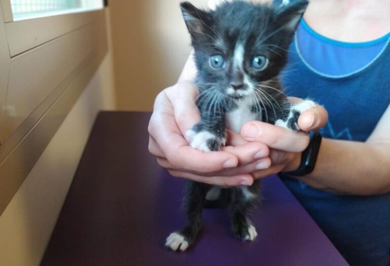 multimedia-foto71692-170-1