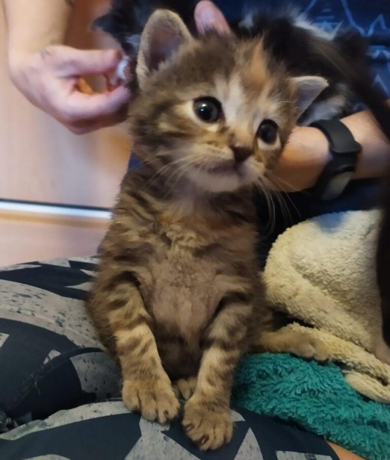 multimedia-foto71707-382-1