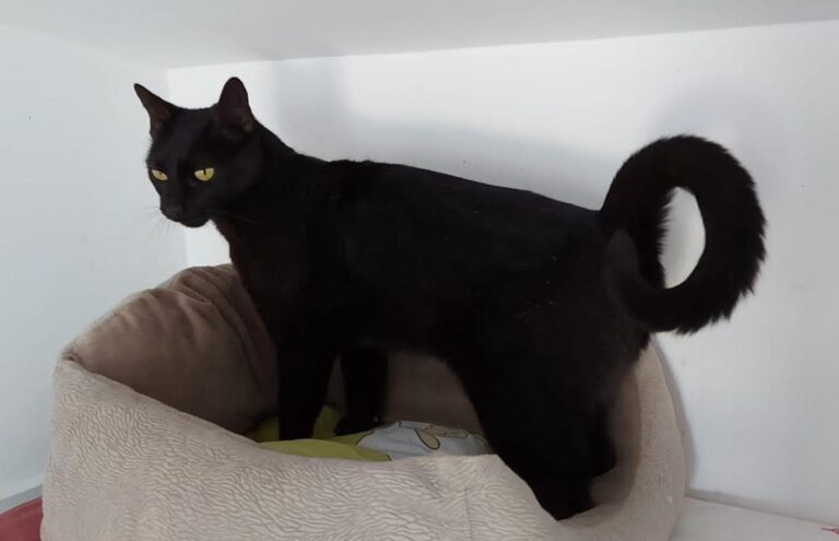 multimedia-foto71715-869-1