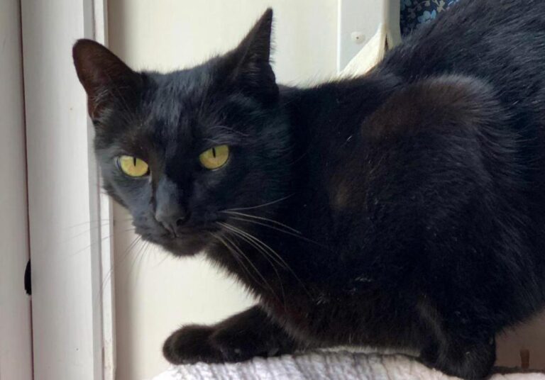 multimedia-foto71716-869-1