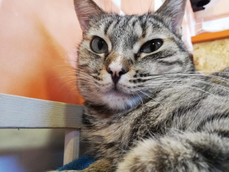 multimedia-foto71737-829-1