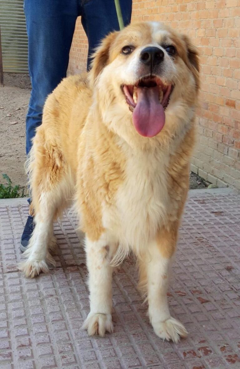 multimedia-foto71754-782-1