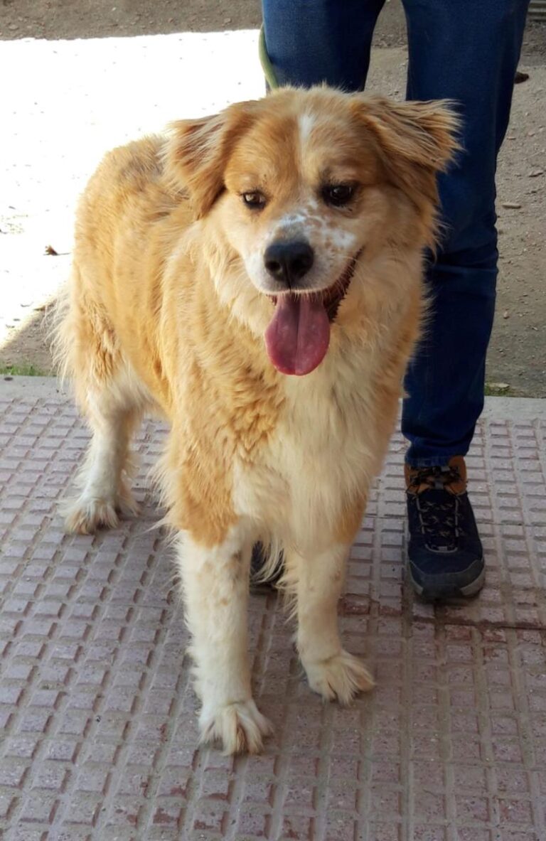 multimedia-foto71755-782-1