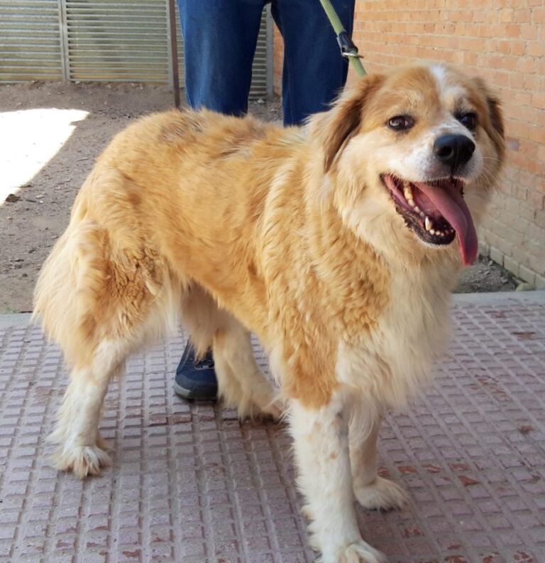 multimedia-foto71756-782-1