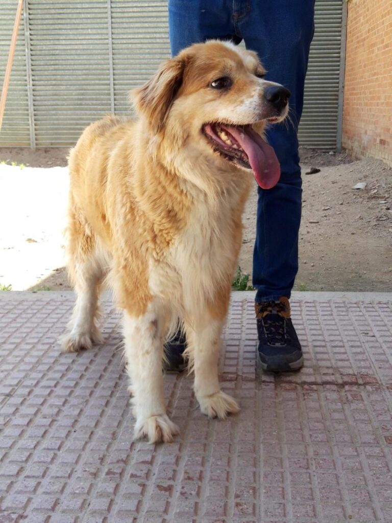 multimedia-foto71757-783-1