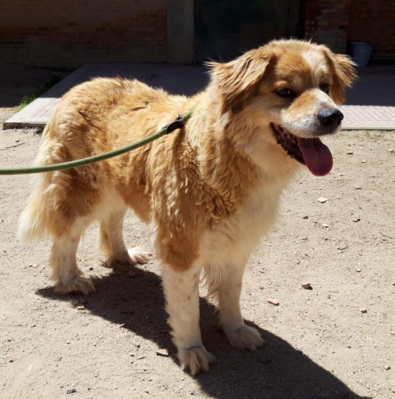 multimedia-foto71758-783-1