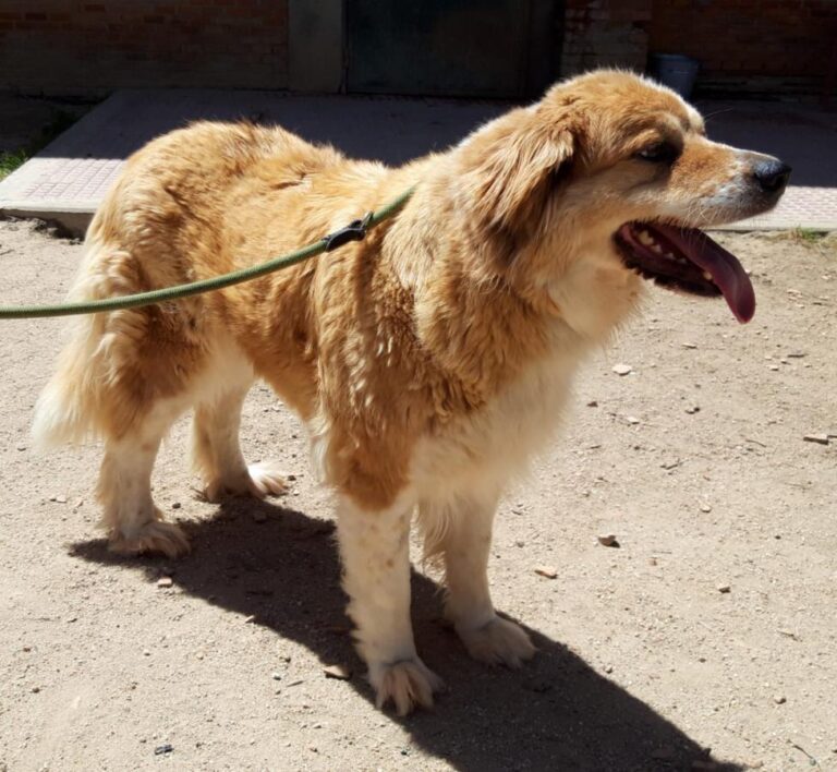 multimedia-foto71759-783-1