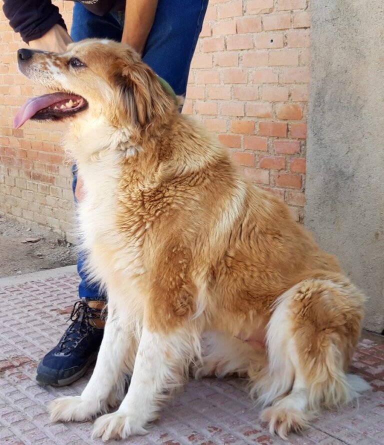 multimedia-foto71760-783-1