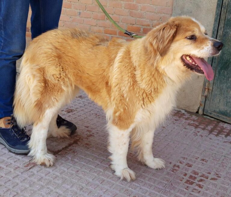 multimedia-foto71761-783-1