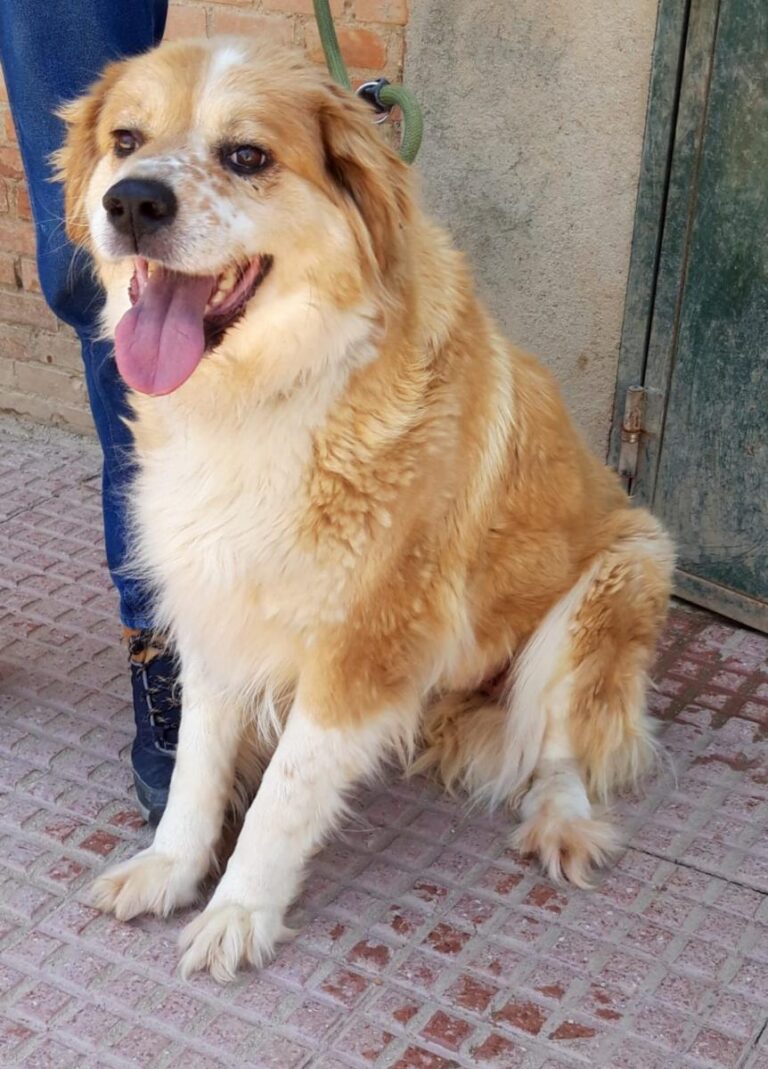 multimedia-foto71762-784-1