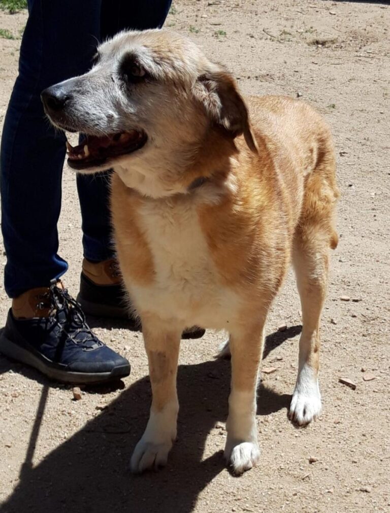 multimedia-foto71764-866-1