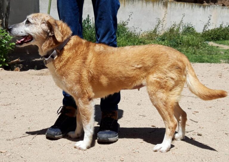 multimedia-foto71765-866-1