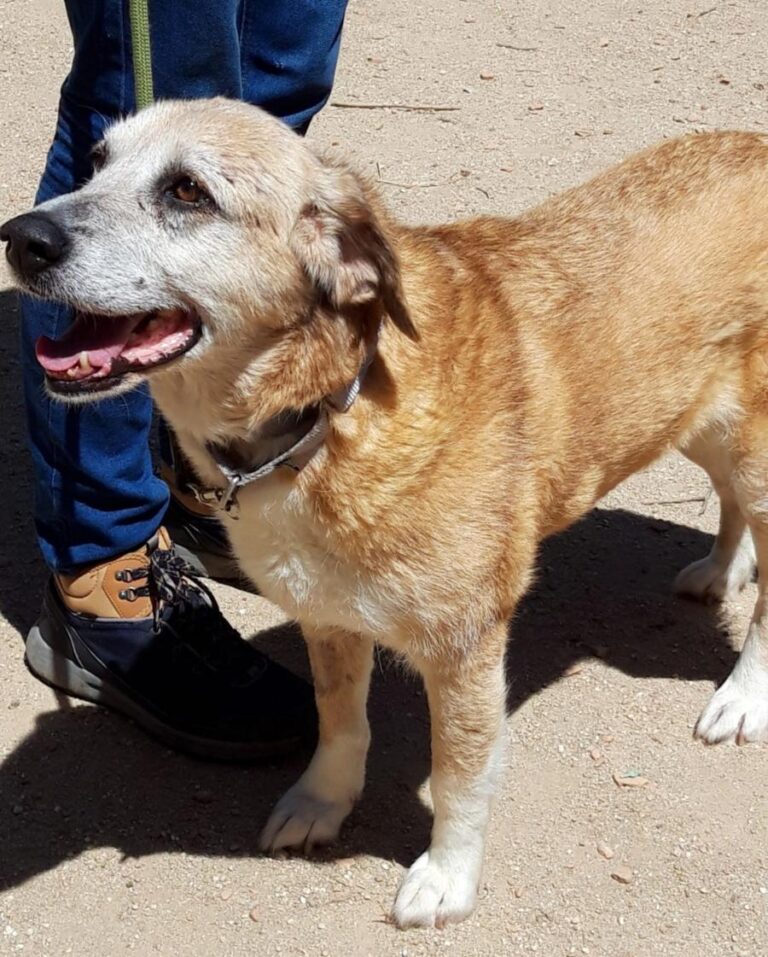 multimedia-foto71766-866-1