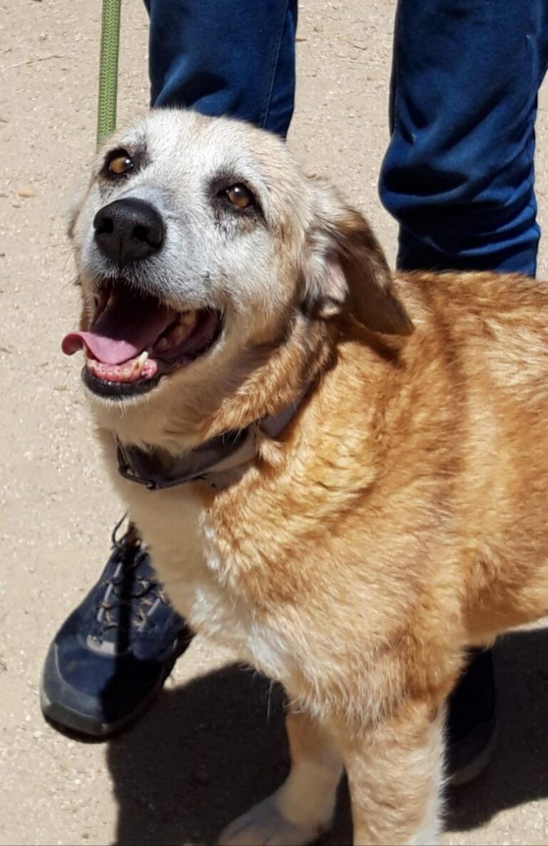 multimedia-foto71767-866-1