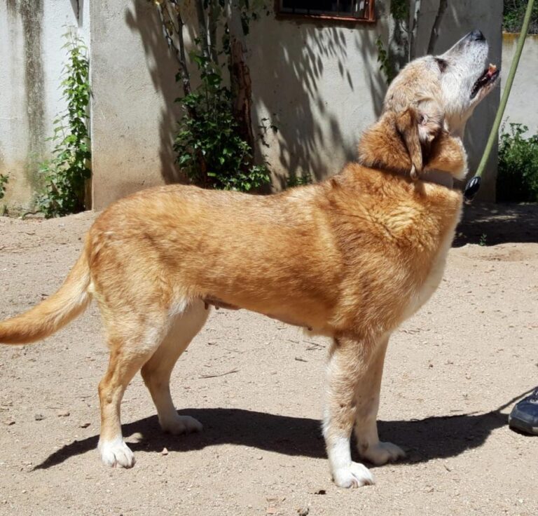 multimedia-foto71768-866-1