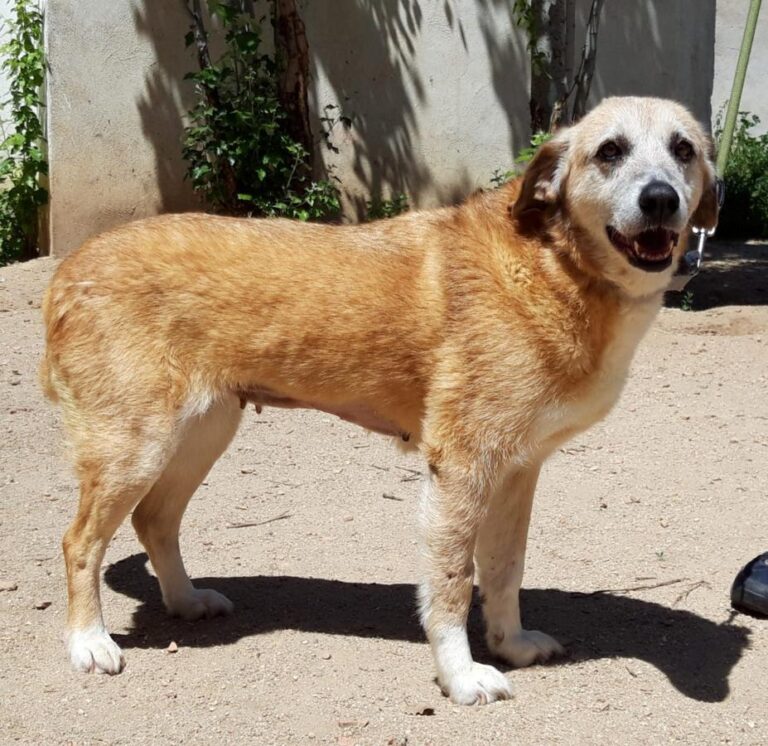 multimedia-foto71769-867-1