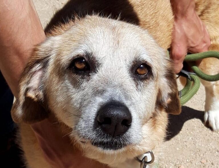 multimedia-foto71771-867-1