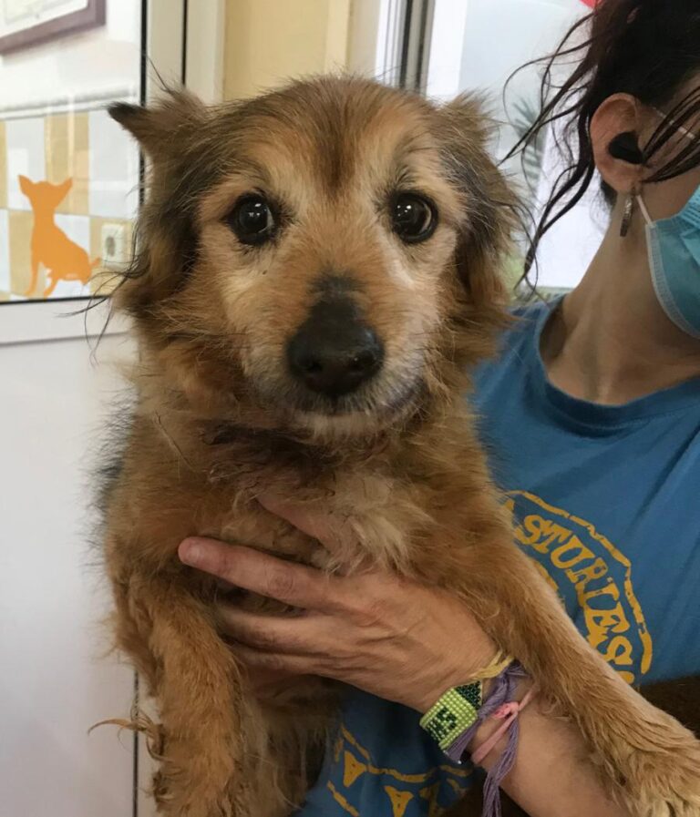 multimedia-foto71804-584-1