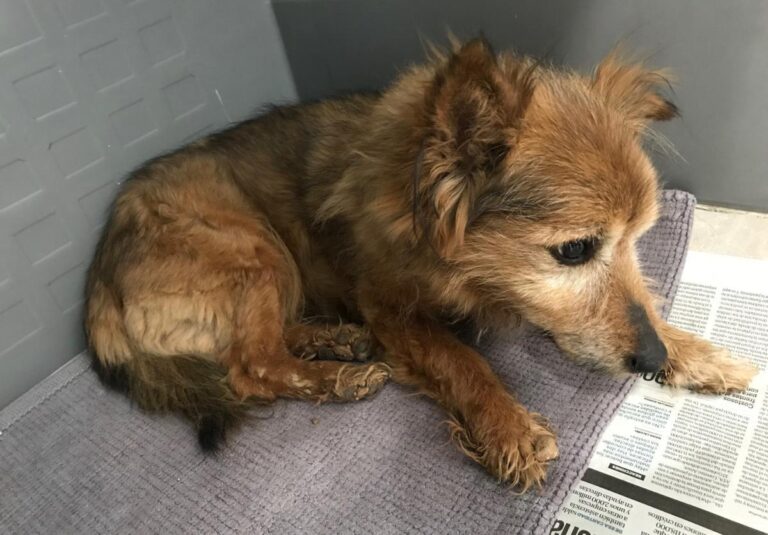 multimedia-foto71805-584-1