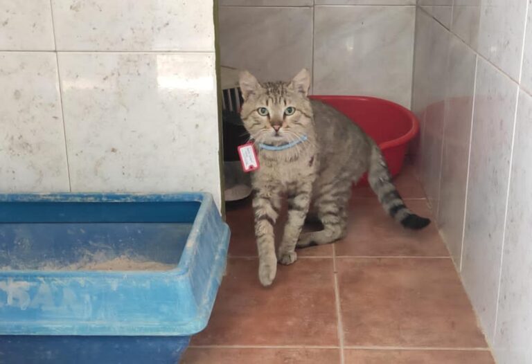 multimedia-foto71822-88-1