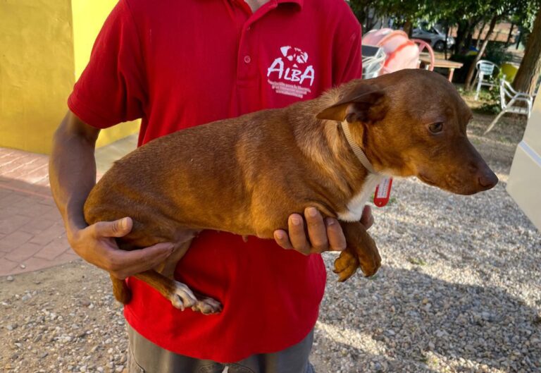 multimedia-foto71831-389-1