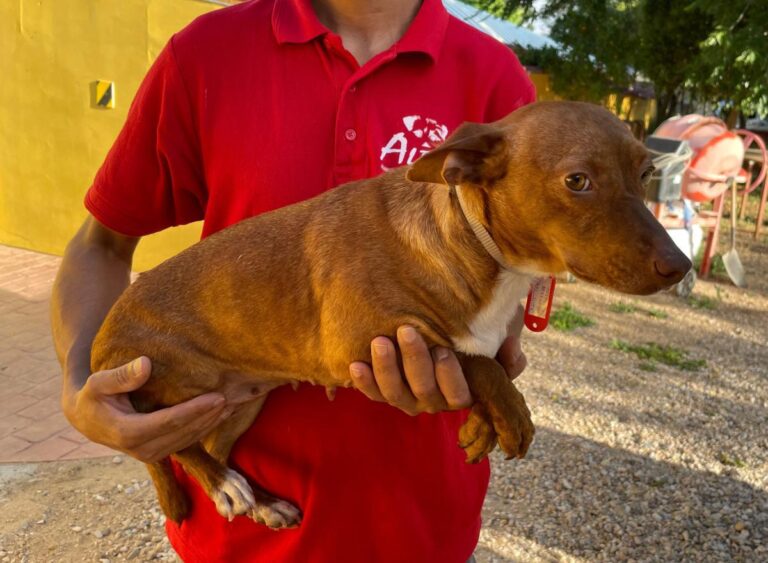 multimedia-foto71832-389-1