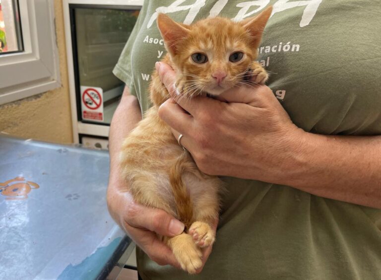 multimedia-foto71926-330-1