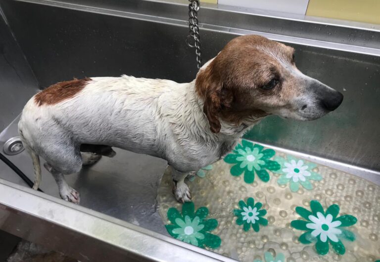 multimedia-foto71930-617-1