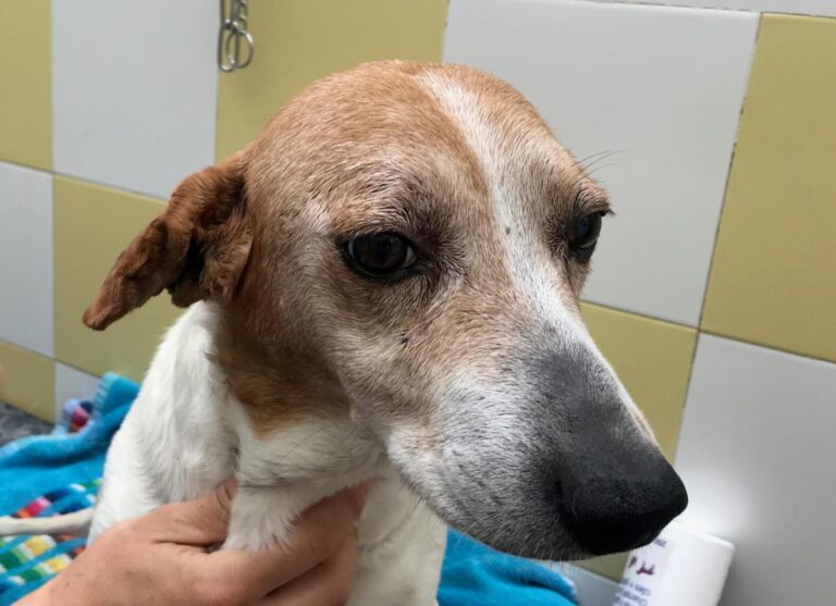 multimedia-foto71931-617-1