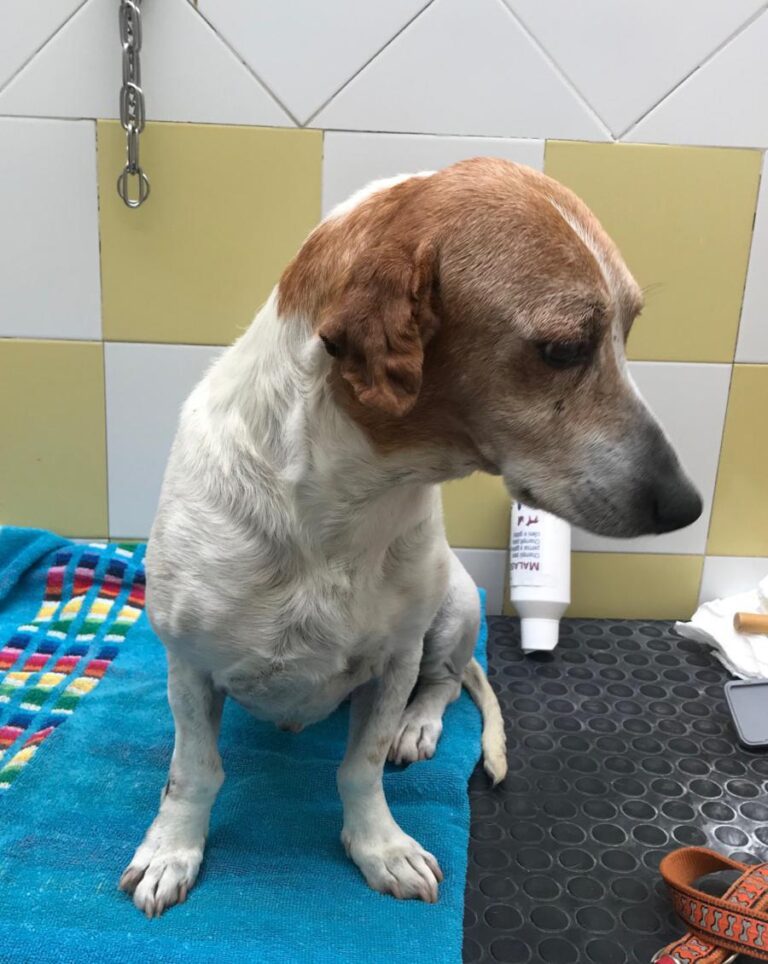 multimedia-foto71933-618-1