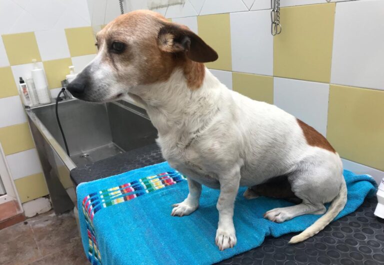 multimedia-foto71934-618-1