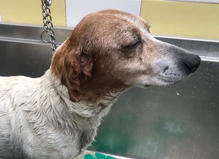 multimedia-foto71935-618-1