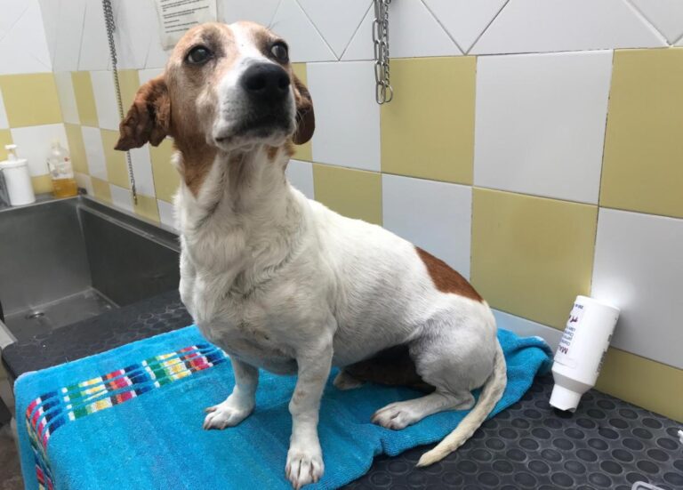 multimedia-foto71936-618-1