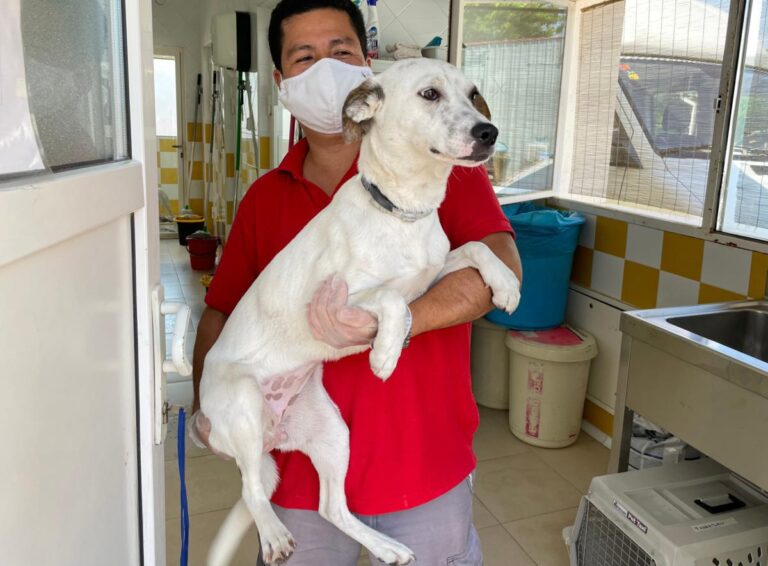 multimedia-foto71943-844-1