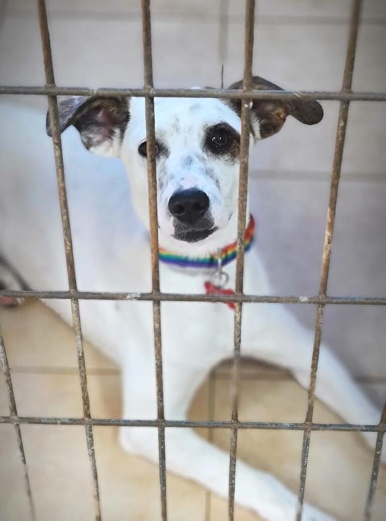 multimedia-foto71944-845-1