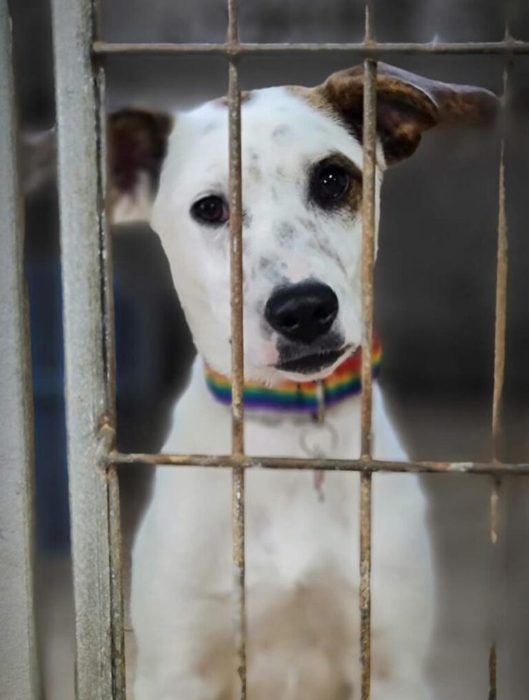 multimedia-foto71945-845-1