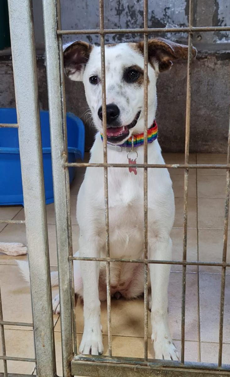 multimedia-foto71946-845-1