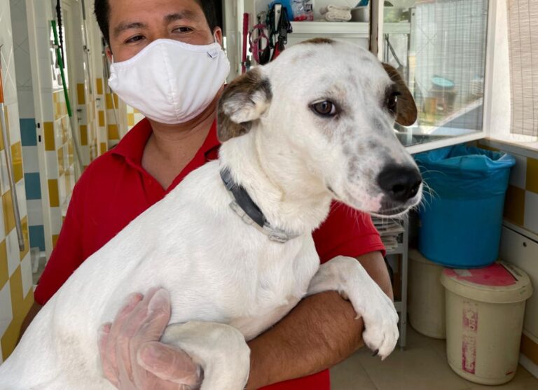 multimedia-foto71947-845-1