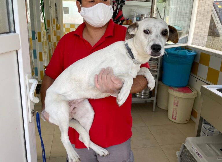 multimedia-foto71949-846-1