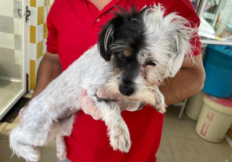 multimedia-foto71968-513-1