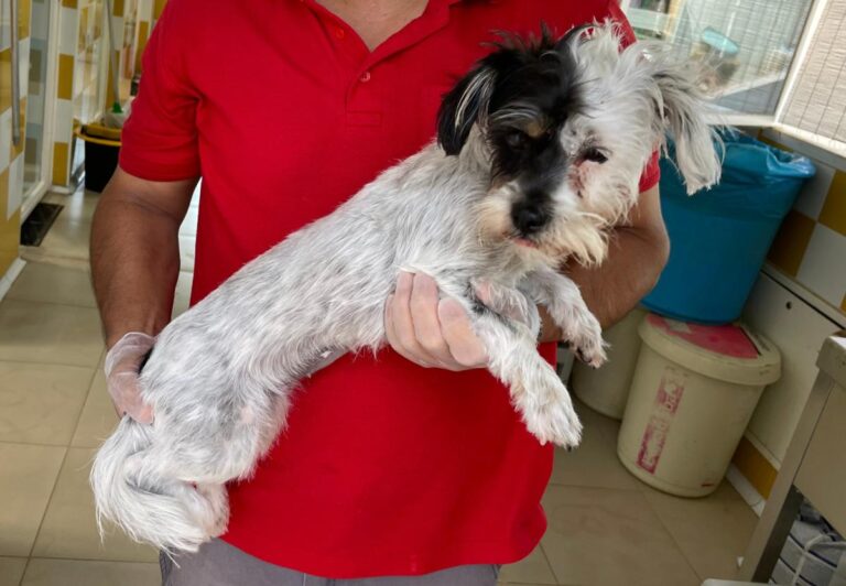 multimedia-foto71969-513-1